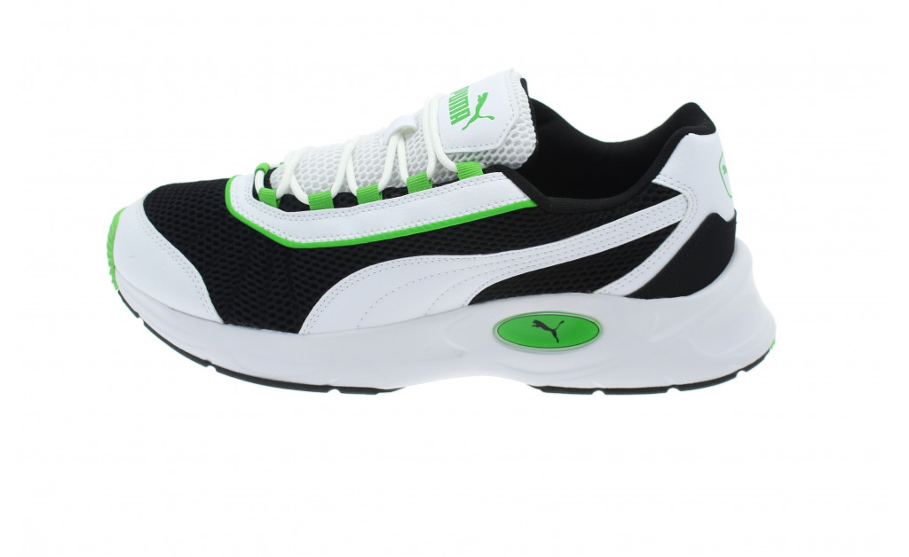 nucleus puma