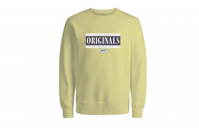 JACK & JONES JORCOBIN HOODIE JUNIOR