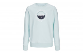 JACK & JONES JORCOBIN HOODIE JUNIOR