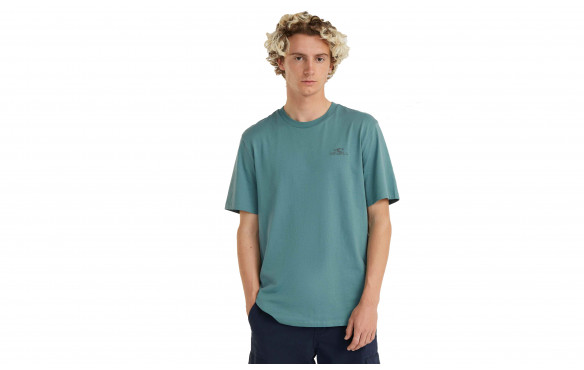 O'NEILL SMALL LOGO TSHIRT_MOBILE-PIC3