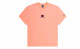 CHAMPION CLASSIC LOGO