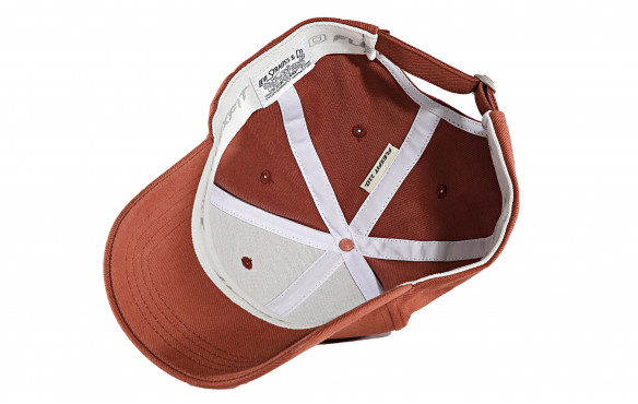 LEVI'S HOUSEMARK FLEXFIT CAP_MOBILE-PIC4