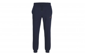 JACK & JONES GORDON FERRIS SWEAT PANT