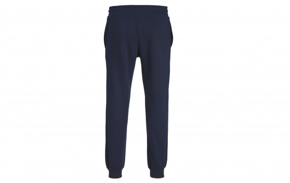 JACK & JONES GORDON FERRIS SWEAT PANT_MOBILE-PIC2