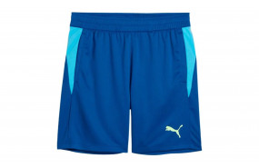 PUMA INDIVIDUAL PADEL TRAINING SHORTS