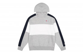 CHAMPION HOODIE COLOR LOGO