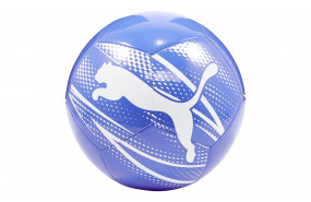 PUMA EVOPOWER 6 TRAINER MS