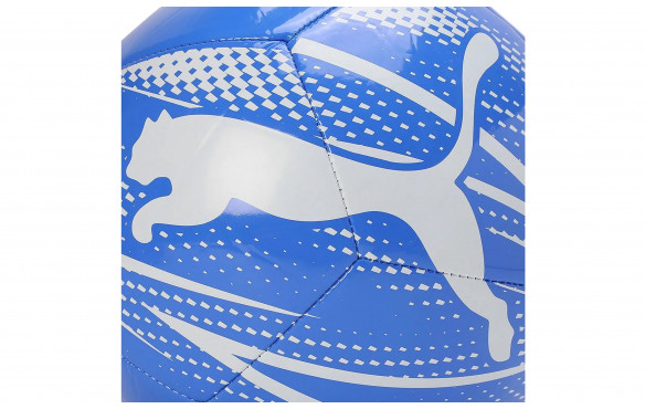 PUMA EVOPOWER 6 TRAINER MS_MOBILE-PIC3