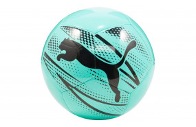 PUMA EVOPOWER 6 TRAINER MS