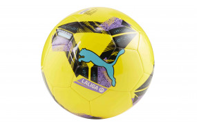 PUMA LA LIGA ORBITA MS BALL 24/25