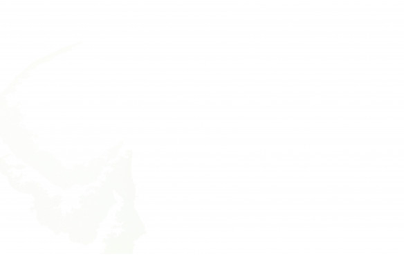 REEBOK ROYAL COMPLETE CLN 2 JUNIOR_MOBILE-PIC6