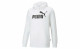 PUMA ESSENTIALS BIG LOGO HOODIE