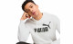 PUMA ESSENTIALS BIG LOGO HOODIE THUMBNAIL 3