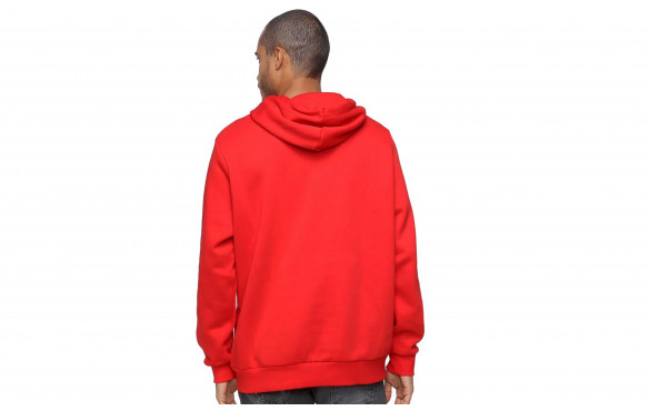 PUMA ESSENTIALS BIG LOGO HOODIE_MOBILE-PIC4