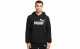PUMA ESSENTIALS BIG LOGO HOODIE THUMBNAIL 3