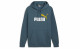 PUMA ESSENTIALS BIG LOGO HOODIE
