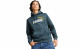 PUMA ESSENTIALS BIG LOGO HOODIE THUMBNAIL 3