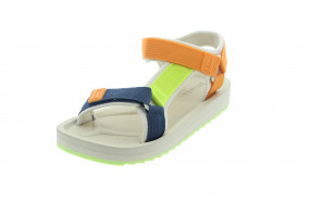 D.FRANKLIN FOREST NEO MUJER