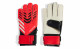 adidas PREDATOR TRAINING JUNIOR