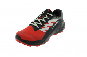 SALOMON ALPHAGLIDE GTX