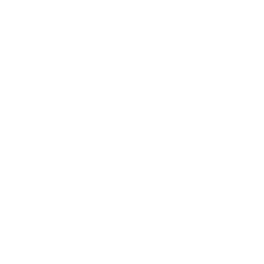 7634319-1704729320